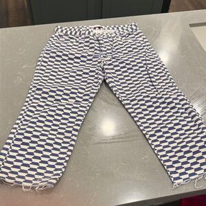 Lisa Says Gah Blue and White Checkered Ankle Pants